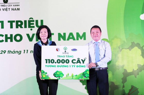 Thêm mảng xanh cho tỉnh Bình Định ảnh 1