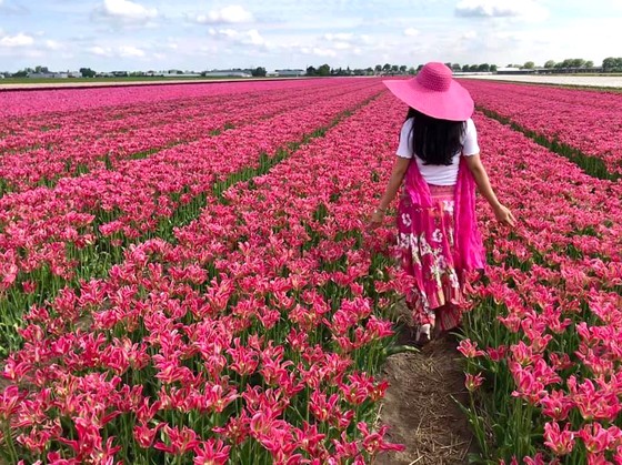 Hội hoa Keukenhof 2020: Đón khách online ảnh 1