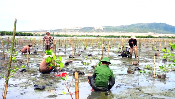 Miền Trung ngổn ngang trước mùa mưa bão - Bài 3: Muốn yên thì sống thuận thiên ảnh 1