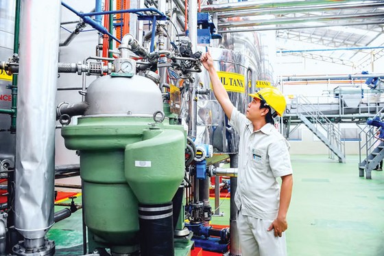 Tăng trưởng bị cuốn theo mục tiêu ngắn hạn? ảnh 1