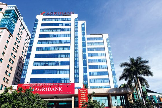 Gian nan xử lý nợ xấu bằng cả “hai vai” ảnh 1