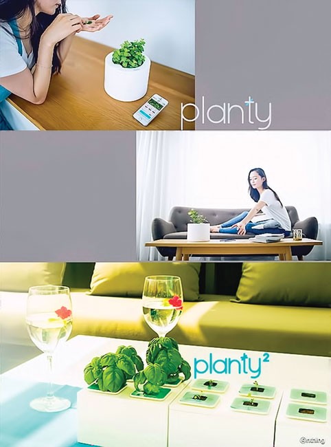Giấc mơ cách mạng nông nghiệp số ảnh 1