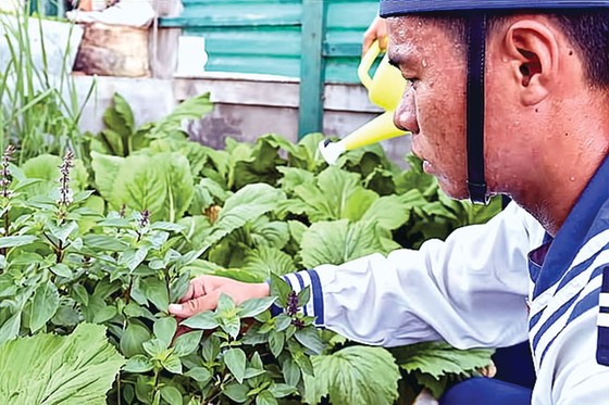 Lính đảo tăng gia sản xuất ảnh 2