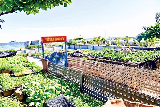 Lính đảo tăng gia sản xuất ảnh 1