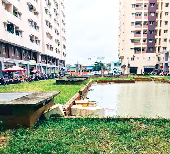 Mòn mỏi chờ giấy chủ quyền ảnh 1