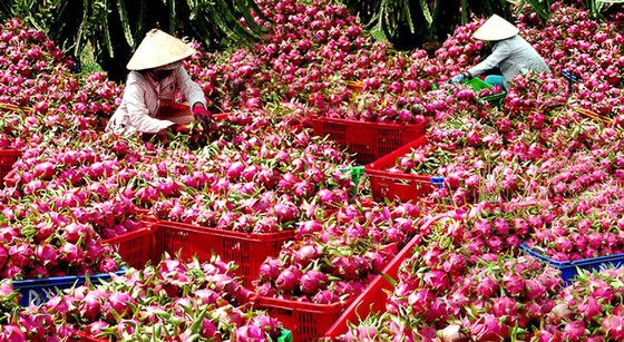 Vay vốn ưu đãi phát sinh rào cản ảnh 1