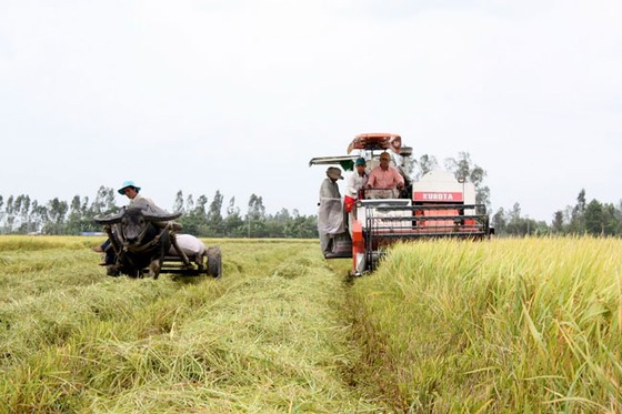Thay đổi tư duy phát triển ĐBSCL ảnh 2