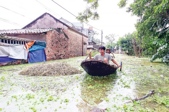 Lũ dữ hoành hành ảnh 2