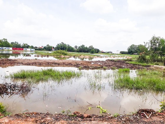 Dự án ảo thị trường Long An ảnh 1