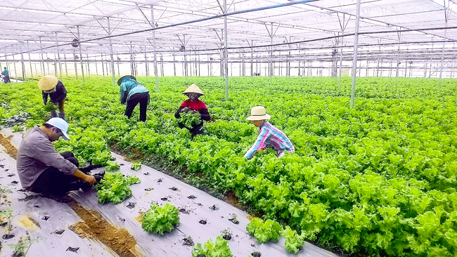 Tìm vốn khởi nghiệp nông nghiệp ảnh 1