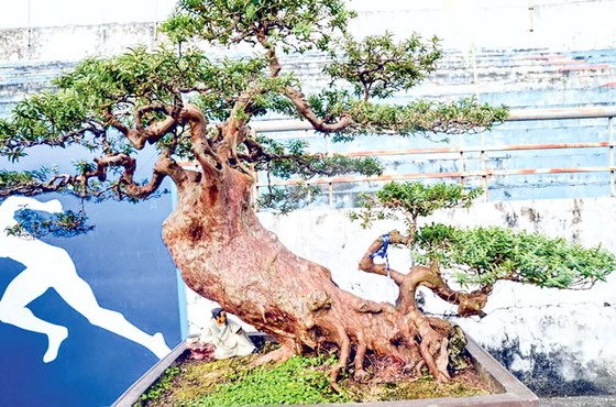 Những kiệt tác kỳ quái tiền tỷ ảnh 9