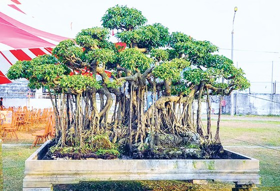 Những kiệt tác kỳ quái tiền tỷ ảnh 10