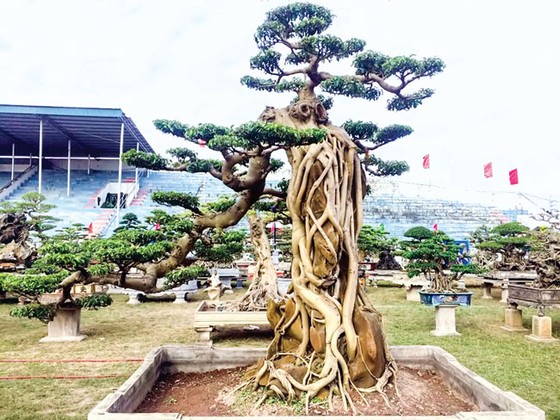 Những kiệt tác kỳ quái tiền tỷ ảnh 7