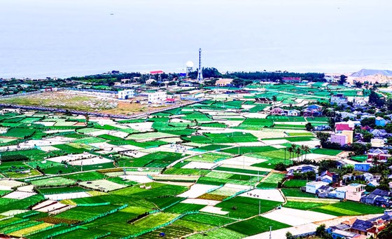 Hoang sơ dọc biển xứ Quảng ảnh 8