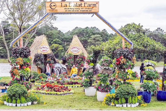 Kết tinh các loài hoa ảnh 7