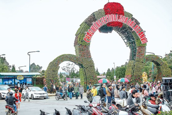 Kết tinh các loài hoa ảnh 11