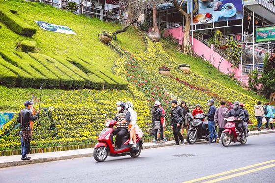Kết tinh các loài hoa ảnh 6