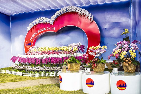 Kết tinh các loài hoa ảnh 1
