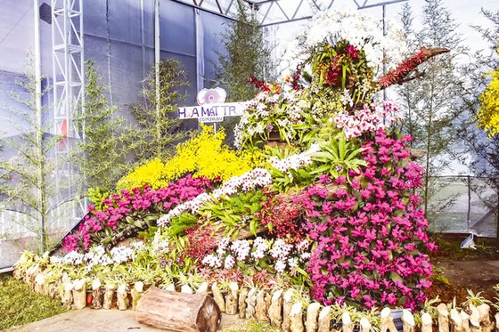 Kết tinh các loài hoa ảnh 12