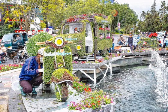 Kết tinh các loài hoa ảnh 8