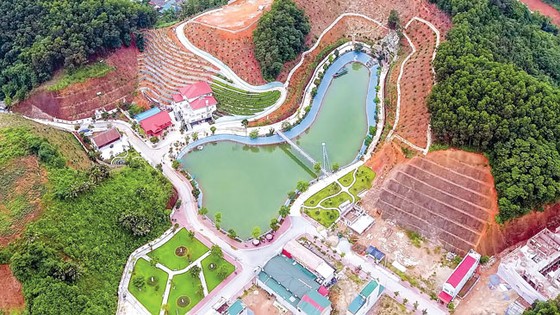 Giá trị thành bại và xã hội văn minh ảnh 1