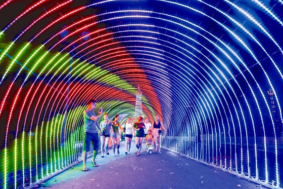 Rực rỡ sắc màu lễ hội đèn LED ảnh 2