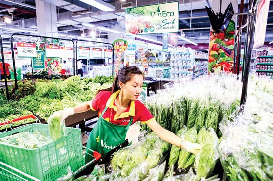 Người gieo hạt Vingroup ảnh 5