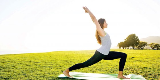 Phòng ngừa và điều trị bệnh mãn tính bằng y học cổ truyền ảnh 2