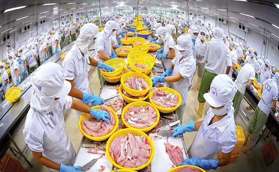 Đánh sóng cổ phiếu thưởng ảnh 1
