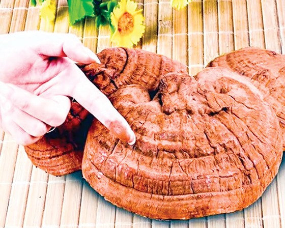 Thức ăn thanh lọc cơ thể ảnh 2