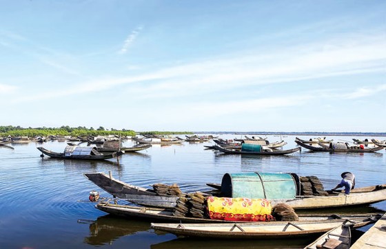 Nhẹ nhàng Chợ nổi trên phá Tam Giang ảnh 1