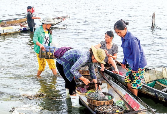Nhẹ nhàng Chợ nổi trên phá Tam Giang ảnh 4