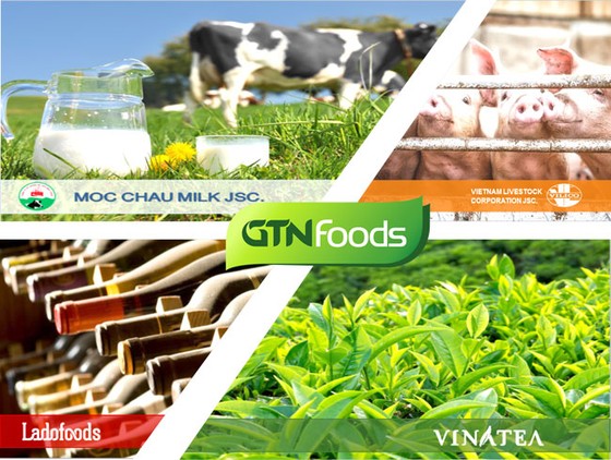 GTN từ kỳ vọng thành thất vọng ảnh 1