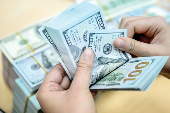 Siết vay ngoại tệ, chống đô la hóa ảnh 1