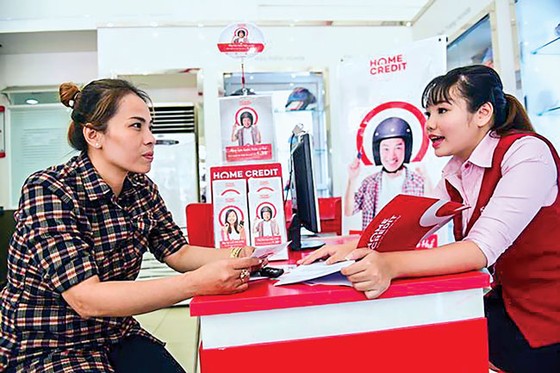 Tổ chức tín dụng phi ngân hàng-Tư nhân chưa mặn mà bỏ vốn ảnh 1