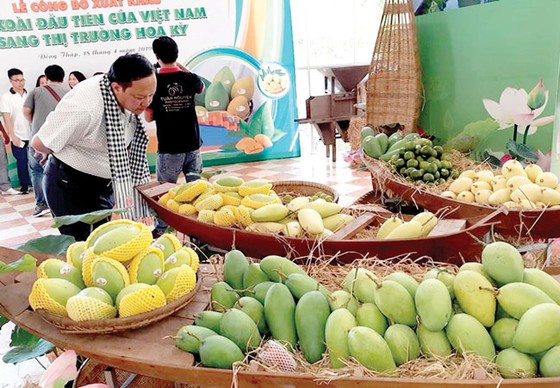 Việt Nam xuất lô xoài đầu tiên sang Mỹ ảnh 1