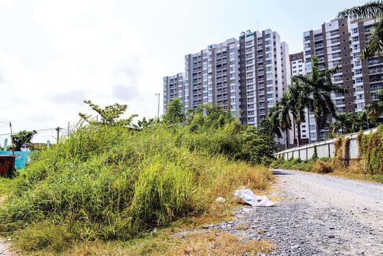 Flaws in current land legal framework ảnh 1