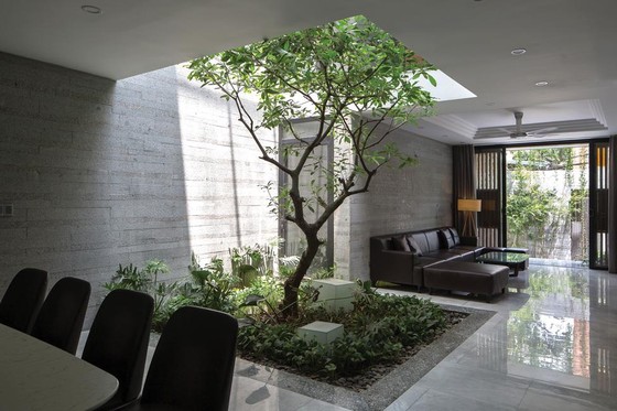 Không gian xanh cho nhà phố thị ảnh 5