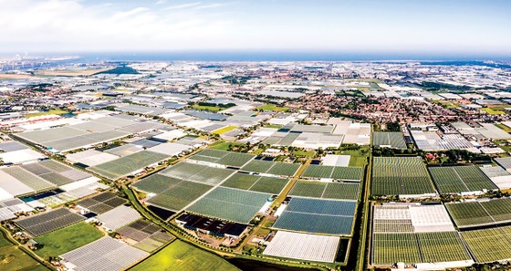 Nhà kính có thực sự đe dọa môi trường? ảnh 1