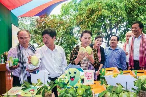 Khởi sắc vùng đất sen hồng ảnh 1