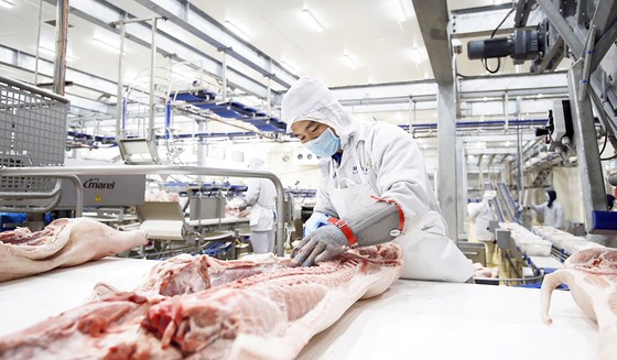 Đầu tư hàng loạt nhà máy chế biến nông sản ảnh 1