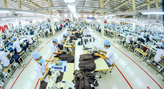 Hiệp định Thương mại tự do EVFTA: Mừng và lo ảnh 1