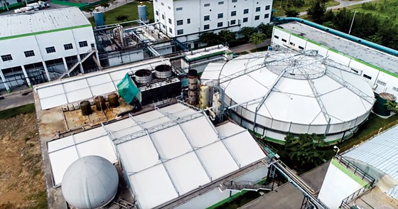 Ngành giấy phát triển bền vững từ 3 trụ cột ảnh 1
