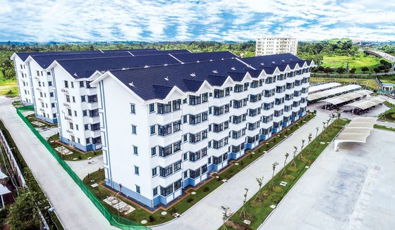 Ngành giấy phát triển bền vững từ 3 trụ cột ảnh 2