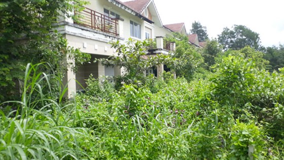 Hoang tàn TP mới Nhơn Trạch ảnh 2