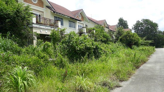 Hoang tàn TP mới Nhơn Trạch ảnh 4