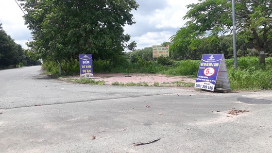 Hoang tàn TP mới Nhơn Trạch ảnh 8