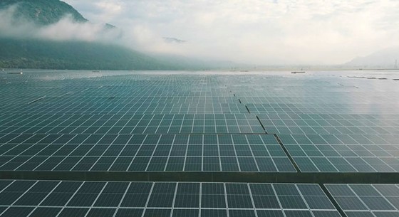Doanh thu Sao Mai tăng mạnh trong 6 tháng đầu năm ảnh 1