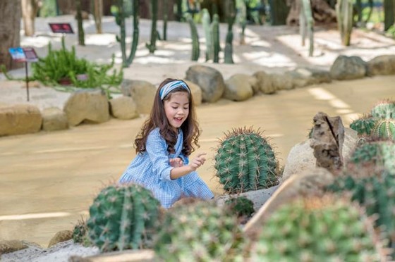 Khám phá khu vườn “kỳ hoa dị thảo” trên đảo kỷ lục Nha Trang ảnh 5