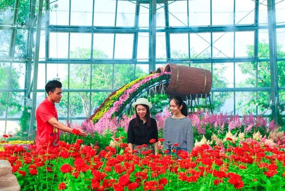 Khám phá khu vườn “kỳ hoa dị thảo” trên đảo kỷ lục Nha Trang ảnh 8